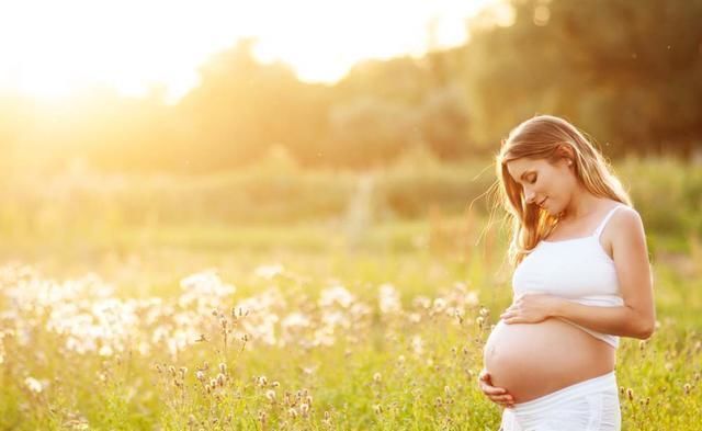怀孕|胎儿发育最快和最慢的几个月，孕妈各要做好三件事，对你对娃都好