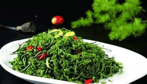 农村墙角的一些野菜，有杀菌消炎，清肠排毒，降三高的作用