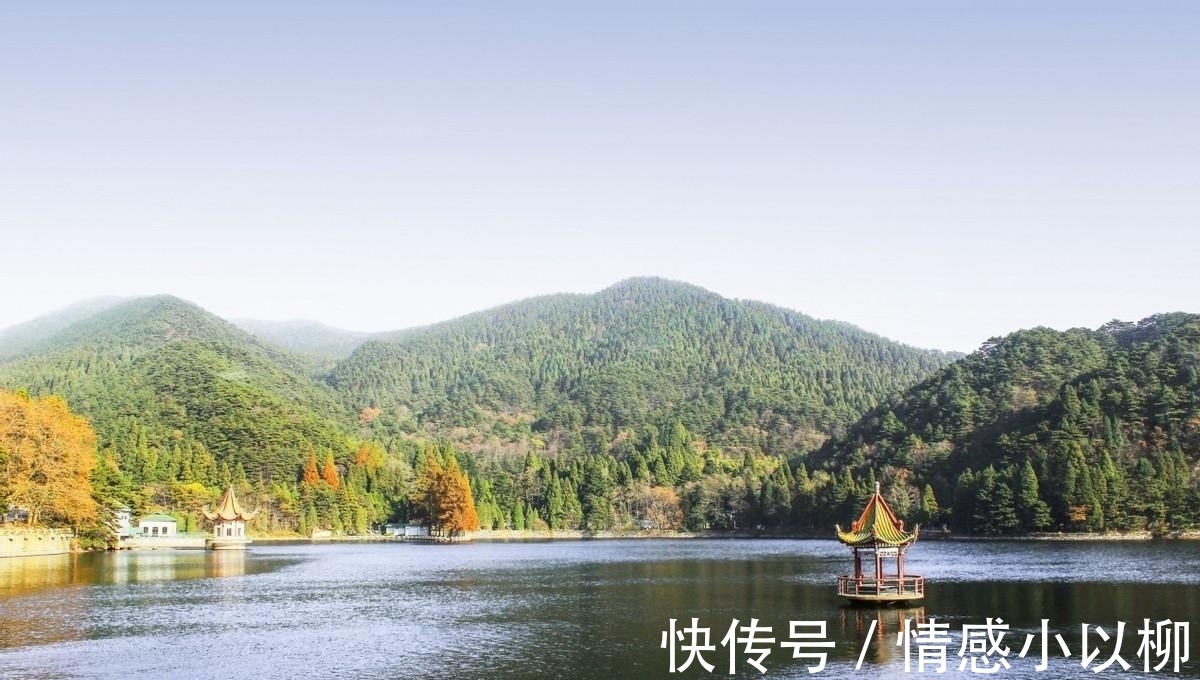 垫脚石|硕士毕业四十岁下岗,转行开滴滴,普通人的痛只能自己默默承受!