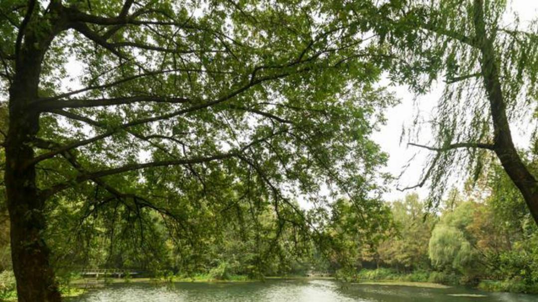 刘敞|宋朝诗人刘敞一首很美的咏雨诗,每一句都如诗如画,值得我们一读