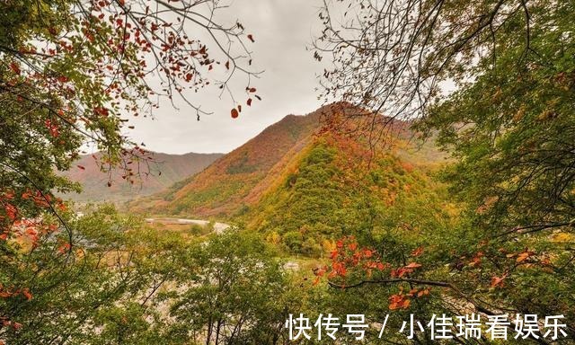 乡村路|“中国最美乡村路”又添一景，距4000年银杏仅3公里