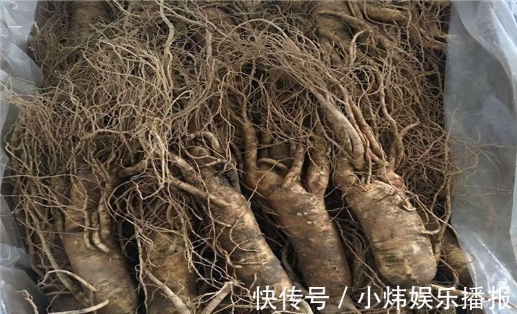 排毒|聪明人多吃以下三种食物,排毒降脂,清凉解燥,营养又健康