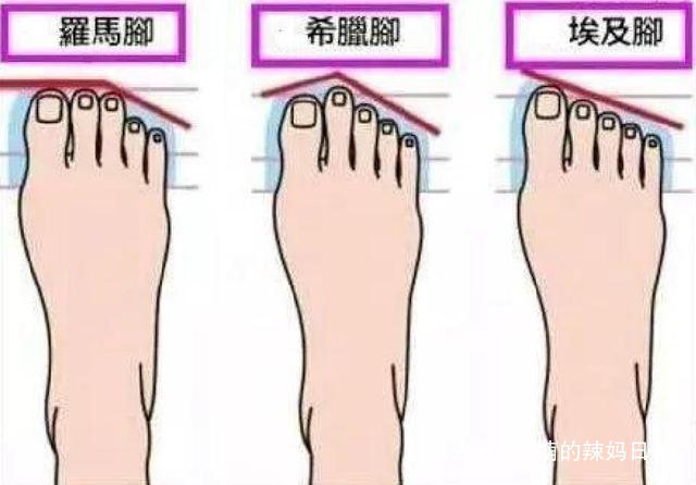 美女脚 你的脚型穿对了鞋吗希腊脚是公认的美女脚,很多人是埃及脚