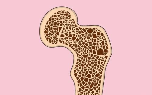 剛過55歲，稍微一摔就骨折了？專家提醒：平時(shí)要舍得吃3種肉