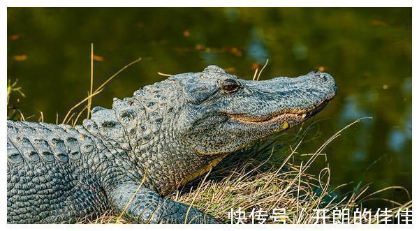 梁山好汉！水浒他堪称三朝元老，排名远不及林冲李逵宋江面目早被他看穿