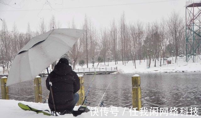 隔夜窝|为何夏季钓鲫鱼又少又小，到了冬季又大又多难道是鱼挑食