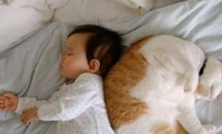 家长|8岁男童生命垂危，胃里抽出一斤脓液，这些食物还敢给孩子吃吗