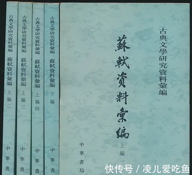 苏轼诗集!最受欢迎的20种苏东坡主题图书揭晓|伯鸿书香奖