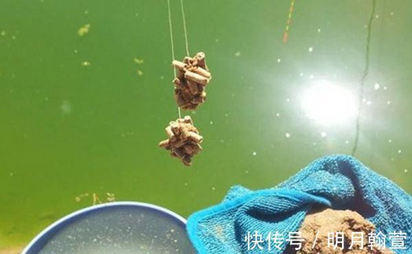 颗粒|野钓大鱼用饵技巧,对比蘸米钓和麻团钓,用这几招,小鱼群钓大鱼