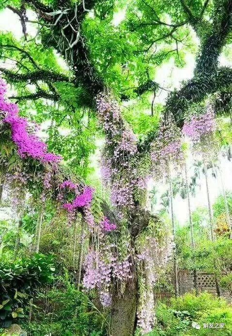 世界上66个自然奇观,地球太不可思议了!