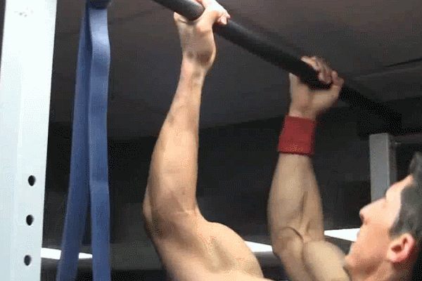 手臂|如何快速增加手臂围度?1套训练方法,让你的手臂肌肉更强壮有力