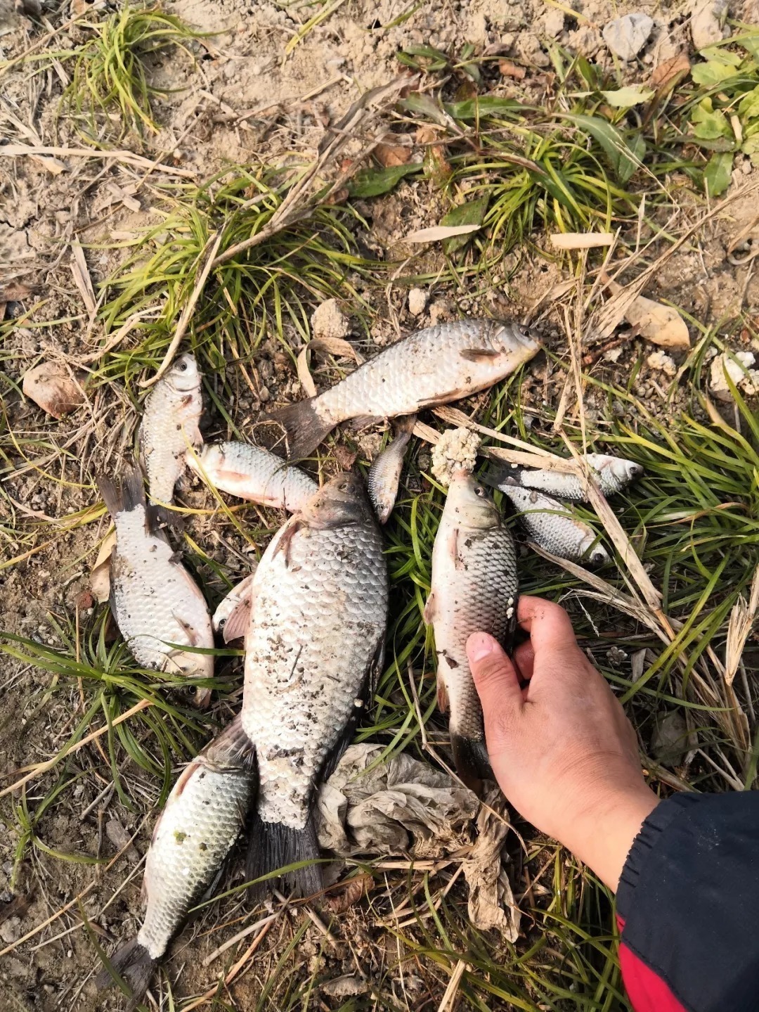 冬天的鲫鱼都藏在哪儿?冬钓这样选位,不愁钓不到鱼!