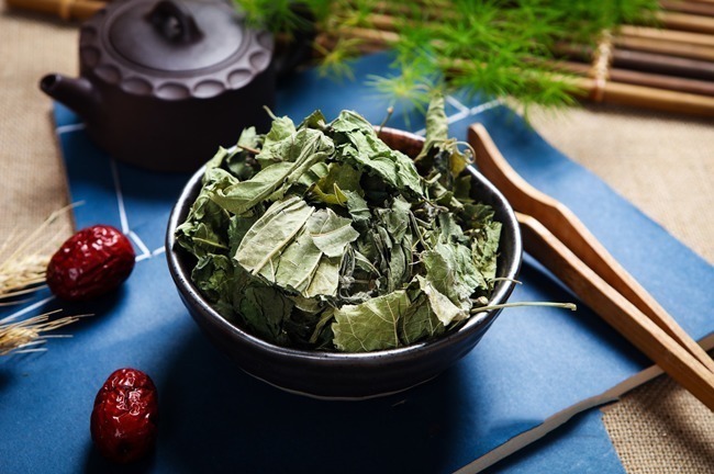 功效|桑叶是个宝,霜打的桑叶为神仙草!如何吃,功效最佳