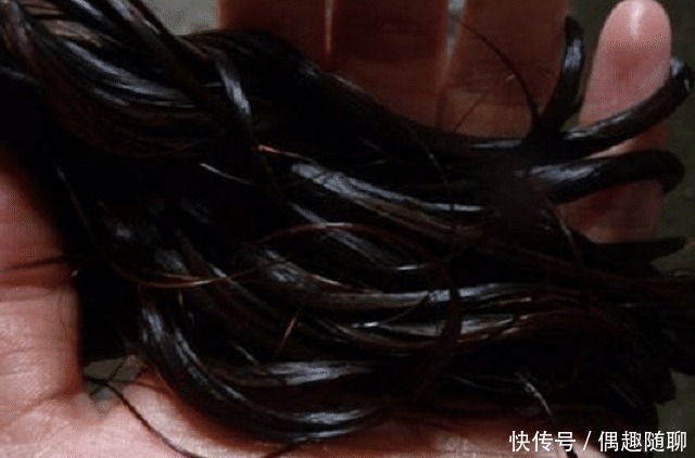 头发洗完隔天油?内行人:洗头时不仔细这4点,干性发质也易油!