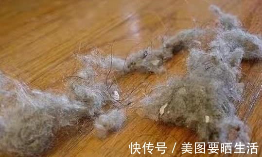 地面毛絮灰尘多偷学家政一招，地板锃亮！