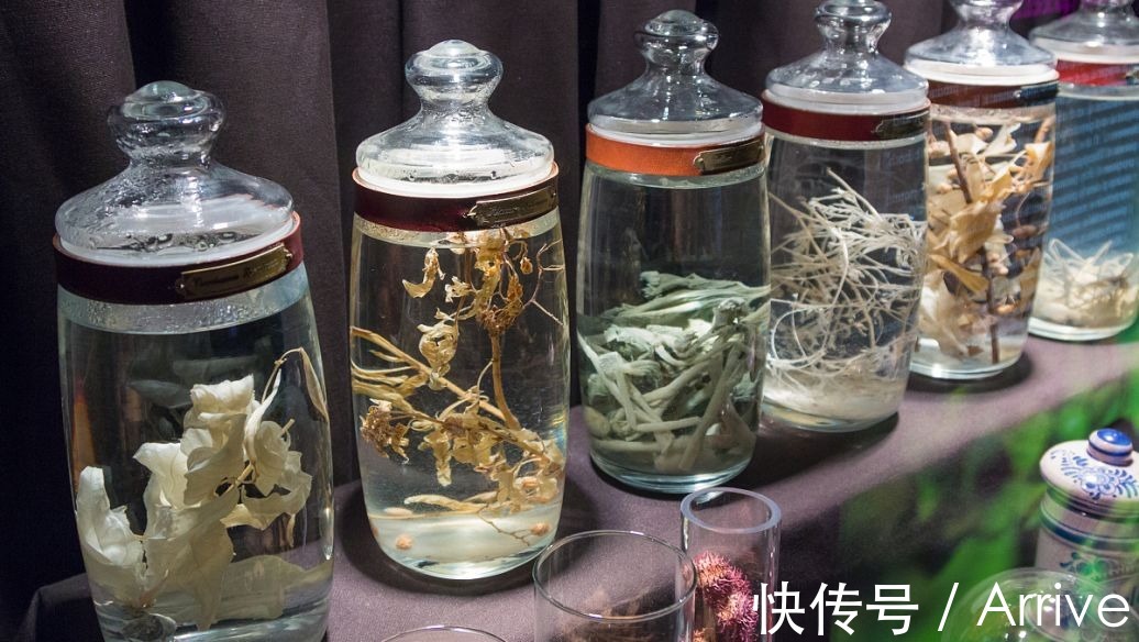 浸泡|养生酒怎么泡制;泡酒的药材怎么处理;叶其芳养生酒家教你避免泡酒误区