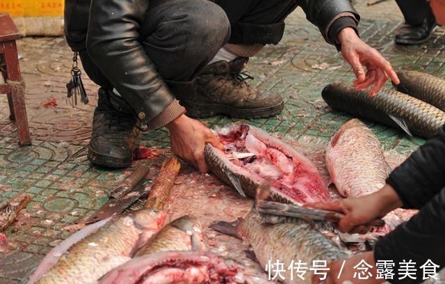 它是鱼身上的“宝贝”，鱼贩杀鱼时会偷偷留下，遇到万万别错过
