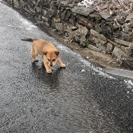 |搞笑GIF: 如何才能健康长寿 大爷讲的太对了