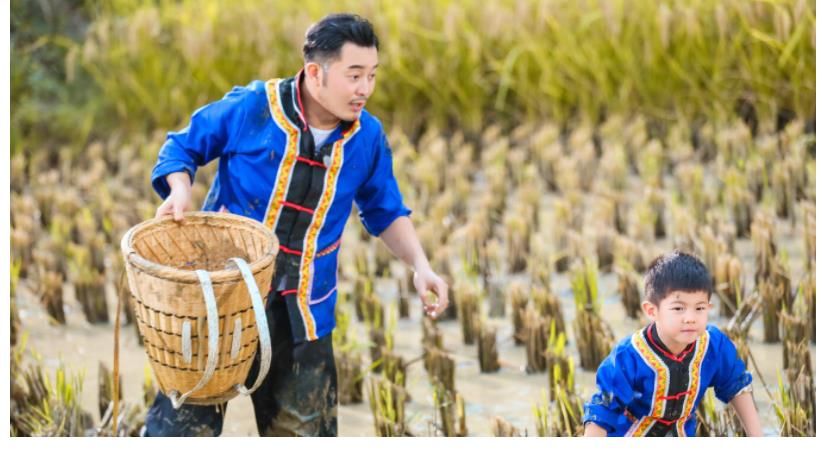 pd|综艺“男四号”现象研究