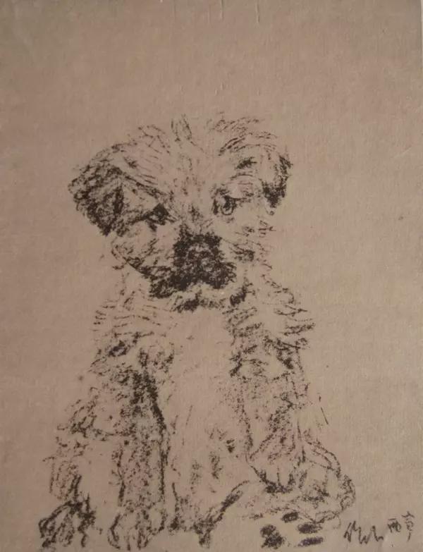 画稿!吴作人吴老先生画稿