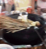 |搞笑GIF:无法直视,是男是女傻傻分不清了