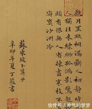 硕士#丁筱是85后美女硕士,她的书法也如人漂亮,堪称牛气逼人!