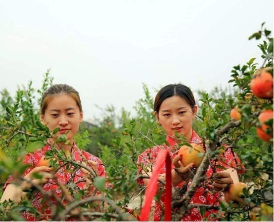 糖尿病患者|糖尿病“害怕”4种水果,再没钱也要吃,让血糖稳定,远离并发症