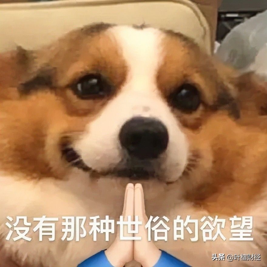 炒股|暴涨40倍！还买什么房子股票 都不如炒它香？