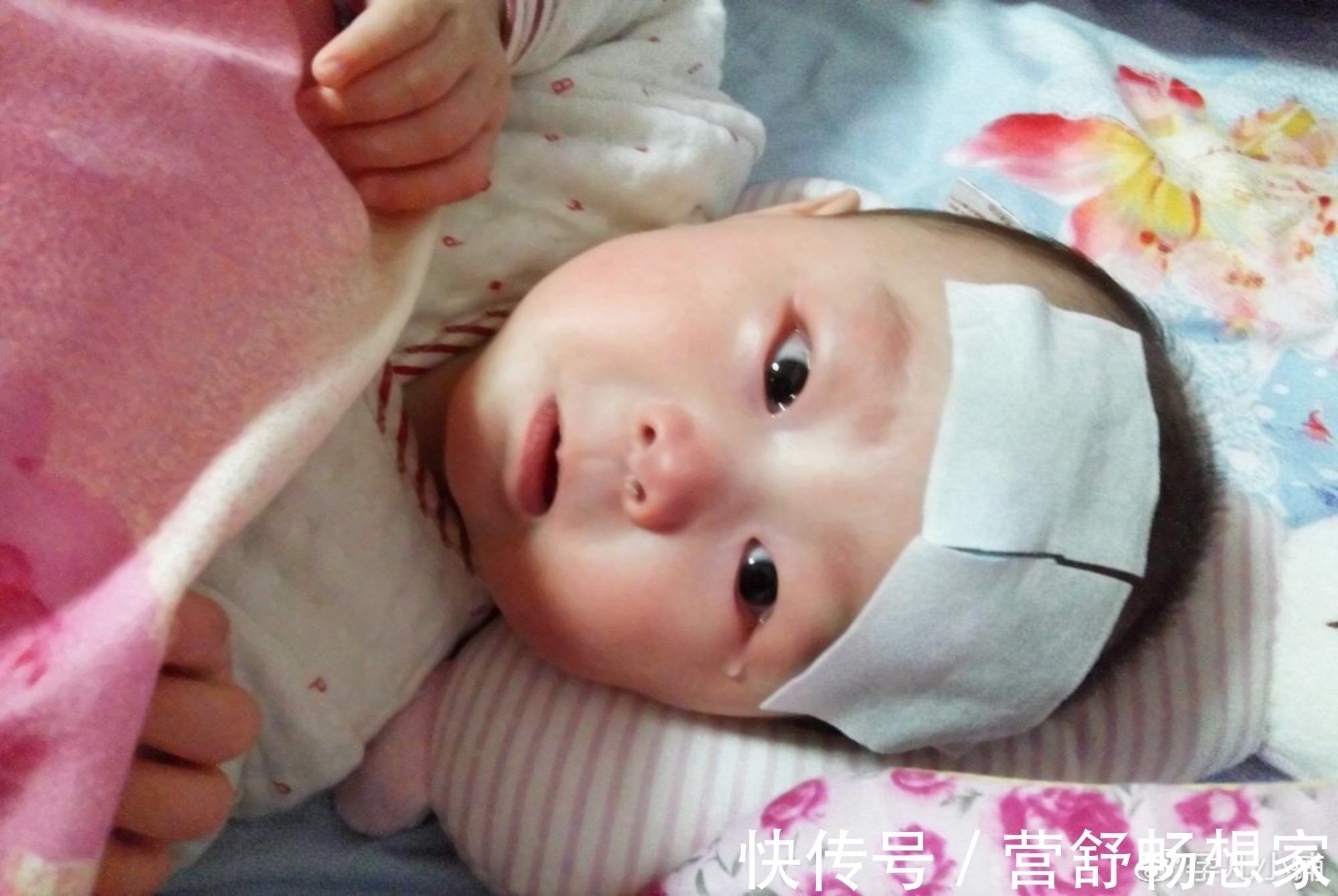小宝宝|11个月宝宝吃母乳身亡，医生怒斥“素食妈妈”的无心之举太无知