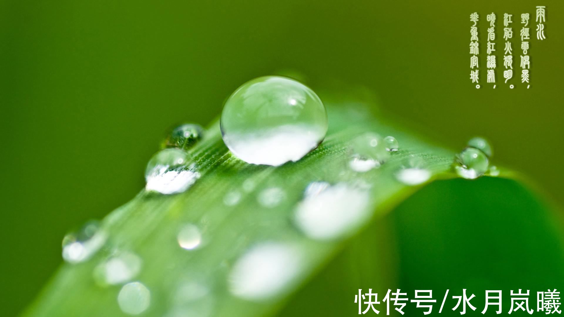 春雨！雨水：一场春雨，十里春风，愿你一路繁花向前，浅笑安然