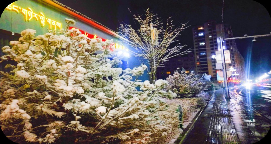 撞个满怀|日光倾城，秋去冬来 与小城卓尼的雪花撞个满怀