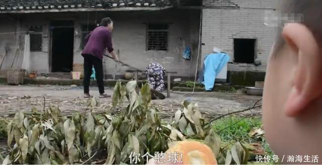 妈妈|两岁小孩被妈妈揍了,去外婆家避风头,结果到外婆家一看扭头就走