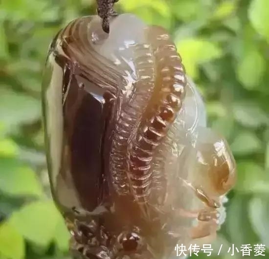 虫子|2亿年前的五条虫子 与大树一起变成了玉石!