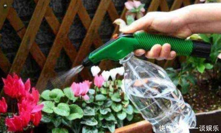 废水|养花,“3种水”不能浇,黄叶又烂根,开不了花