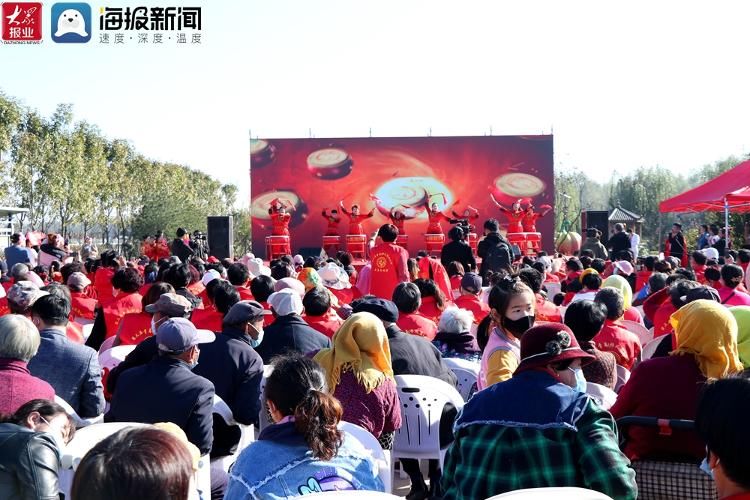 大姜#八百亩生姜喜获丰收 第三届青岛移风店（女儿村）大姜文化节开幕