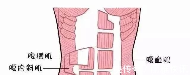 腹直肌|跑步解决不了腹肌,2个核心训练有傲人的马甲线条