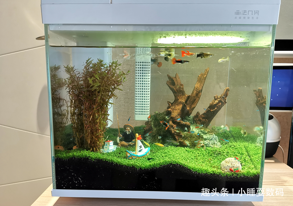 哪种鱼缸更适合养鱼画法几何AI智能鱼缸，水质监测还能自动喂食