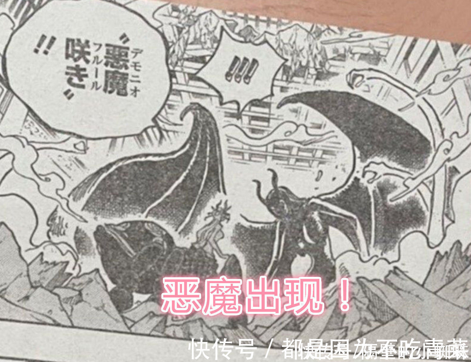 小蜘蛛|海贼王1021话，“恶魔”罗宾超可怕，黑玛利亚想逃跑，结果被秒杀