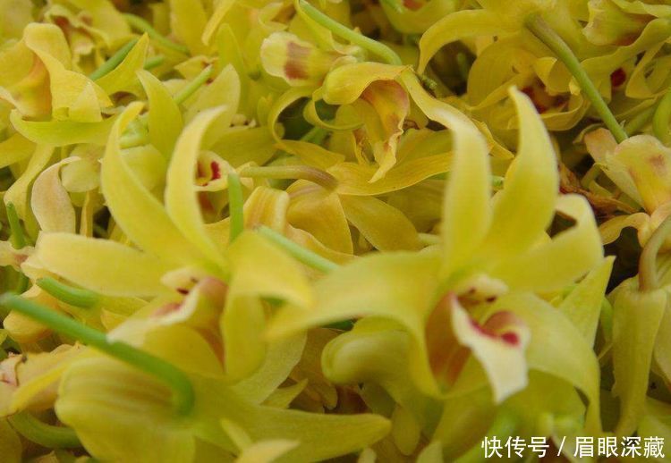 食物|女性不想大肚腩,推荐常吃3种食物,润肠通便,排毒清肠
