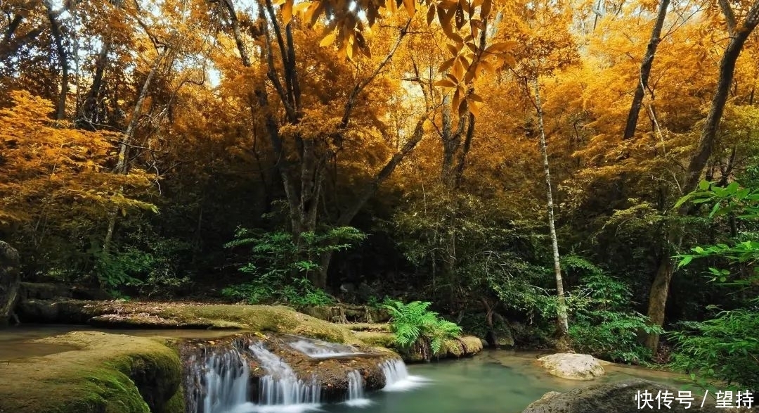 冬日暖阳照大地，谁是山间赏花人