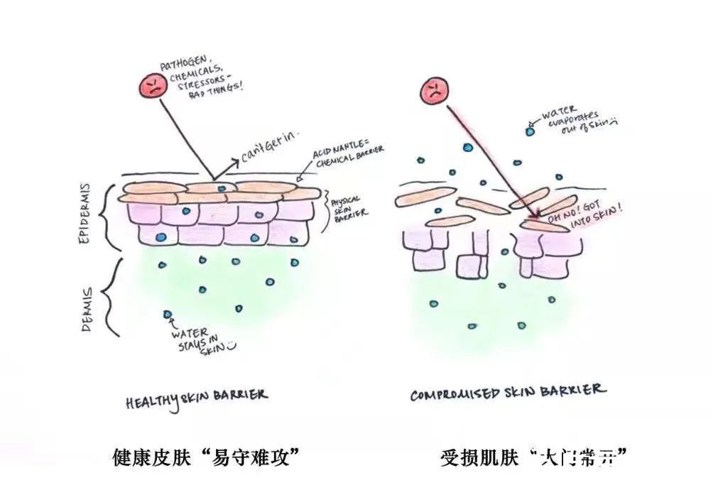 高浓度|烂脸警告！敏感肌一定要看！（建议收藏）