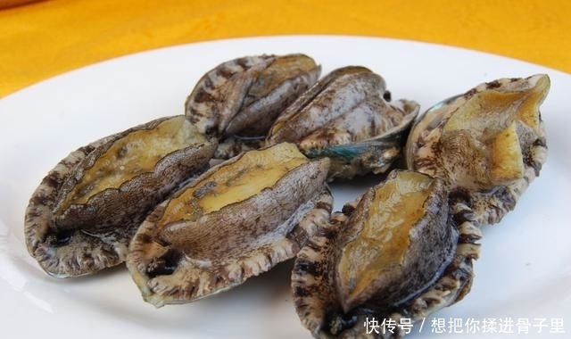 嫂子|吃鲍鱼时别再闹笑话了,当服务员问你“几头”,该如何回复