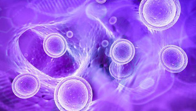 常吃|入秋了，降糖黄金期？内科医生：常吃这2种食物，血糖或稳稳降