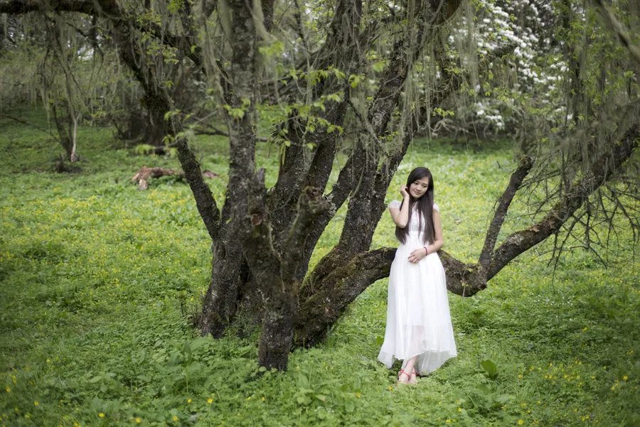 冯蕊|诗朗诵：雾里觉醒