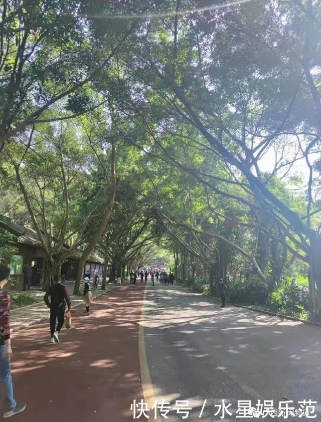 老年|大年初一行大运,南宁路上“红通通”,你参与了吗?