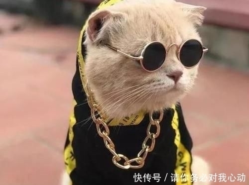 |爸爸姓甄,给女儿取名太幽默,上户口时工作人员笑得肚子疼