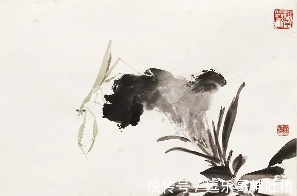 花鸟画!写虫圣手!潘君诺花鸟画