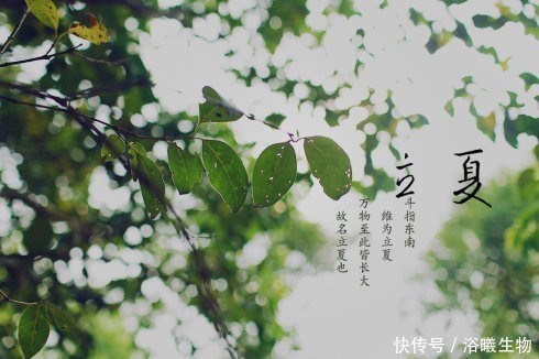 立夏已至,外出怕妆花?这几点要谨记,保你妆容持久无瑕!