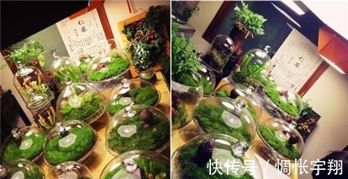 王昱珩清华毕业不上班,养个女儿不上学,把生活过成想要的样子