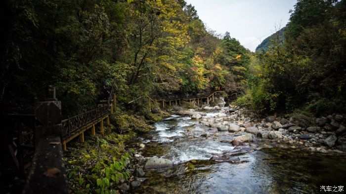 自然保护区|开着大唐去旅行——穿越太洋公路，赏黄柏塬醉美秋色（中篇）